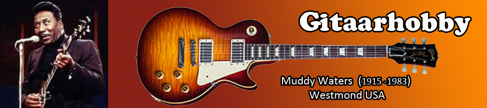 Muddy Waters