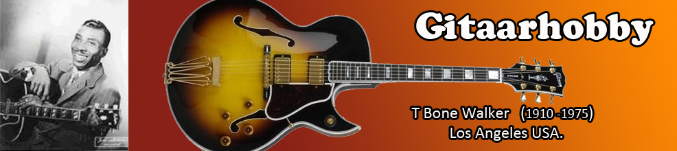 T Bone Walker
